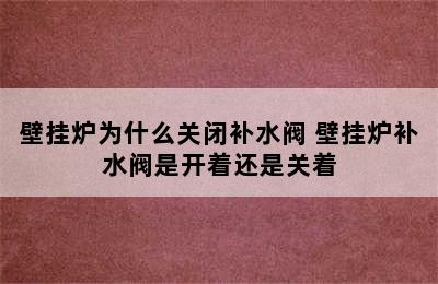 壁挂炉为什么关闭补水阀 壁挂炉补水阀是开着还是关着